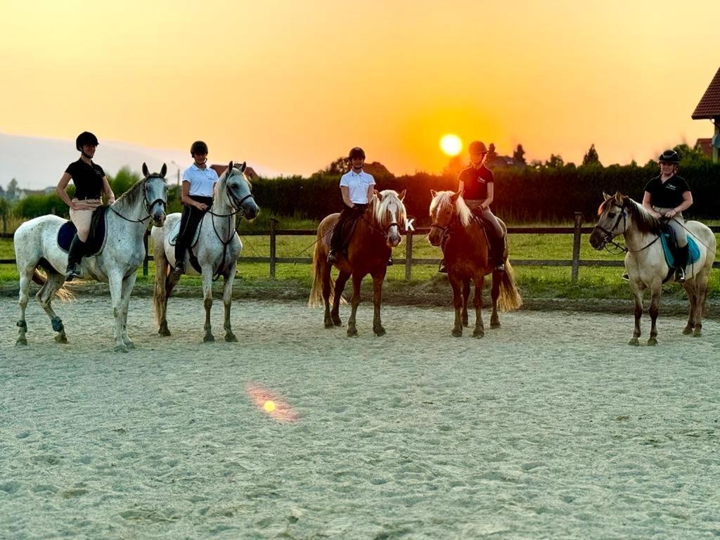 Вилла Rancho-Bierna Экстерьер фото